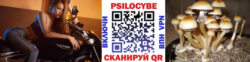 Псилоцибиновые грибы GOLDEN TEACHER Макарьев